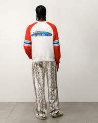 STRIPE RAGLAN CREW